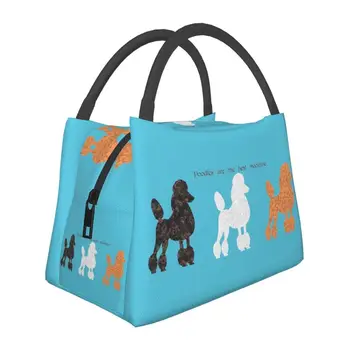 Bolsas de almuerzo personalizadas para amantes de los perros, fiambreras con aislamiento térmico para el trabajo y viajes