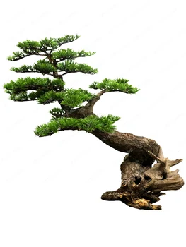 MOOKOO 257/Medžio masyvo Dirbtinis Pušies Bonsai Natūralių Džiovintų Šaknų Imitative Medžio Sveiki Pušies Augalai žali Augalai Dekoratyviniai